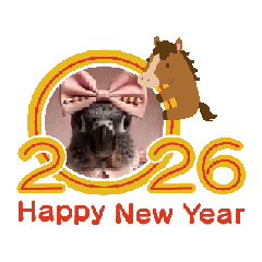 MaaM V.A._20251223235853