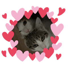 Nyan'S.MAMA_20251223144420