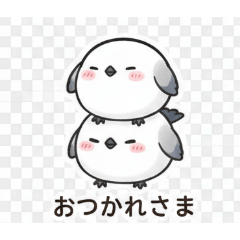 poteto_20251223161751