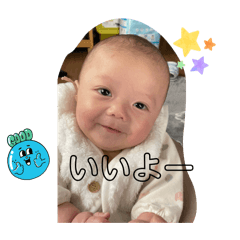 hachi_20251223142751