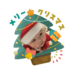 kohakumaru_20251223161343