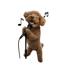 minchamin_20251223175811