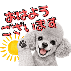 mijudako_20251223175412