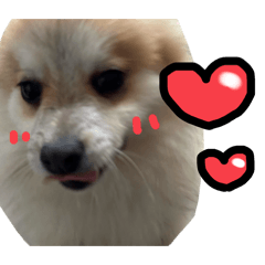 OYAMADAKE_20251223181527