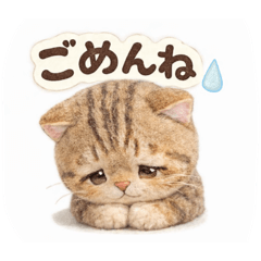 hitomi_20251223181802