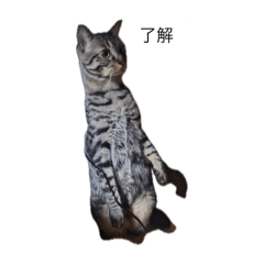 hamster 0120_20251223181351