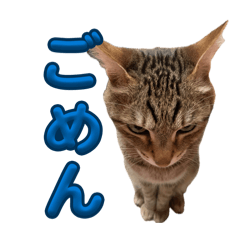 Tomy5352_20251223163310