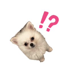 tsuki_20251223163636