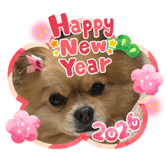 Michiyo_20251223163441