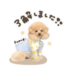 uchinoko_honpo._20251223164044