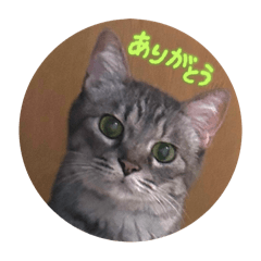 Yuchanco_20251223164103