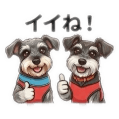 akki0224_20251223164540