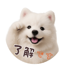 green_20251223181745