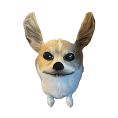 ma811t.ff_20251223181739