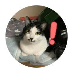 u_sima_20251223182455