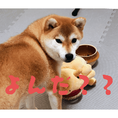 sakasuke_20251223183423