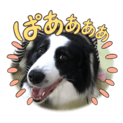 mimiken_20251223182900