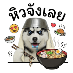 Silly little Siberian