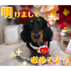 match_20251221092337