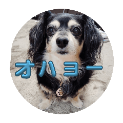 Yoshiken_20251221041027