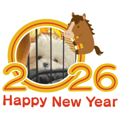 chapi_20251221152119