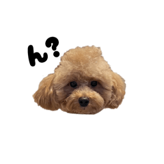 kotomi_20251223170700