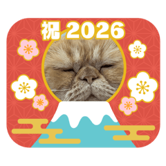 chiwa_20251223190320