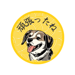 DONG CREATION わんこスタイル.2