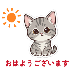 Koba Pretty Cats
