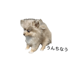 sasakihanaka_20251223194706