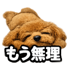 K style_20251223194445