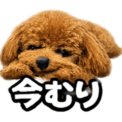 K style_20251223194816