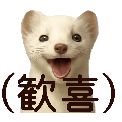 okozyosuki_20251223195148