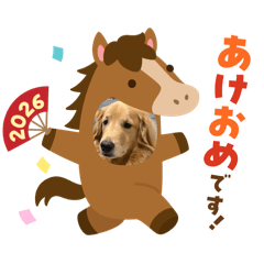 masamune_20251223195720