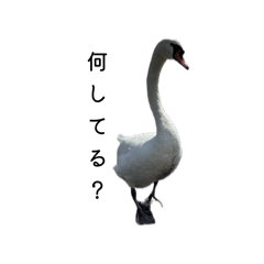 minpy_20251223194816