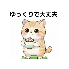 Motiko_20251223195841