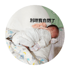 我是菠蘿