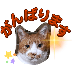 Honori_20251223174327