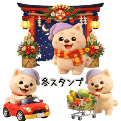 Daily Winter Life with Shiba