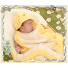 SEIYA_20251223184003