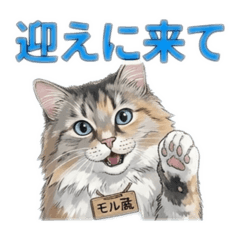 Angela_20251223185339