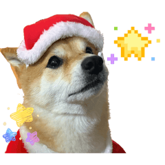 nikononikonikosutanpu