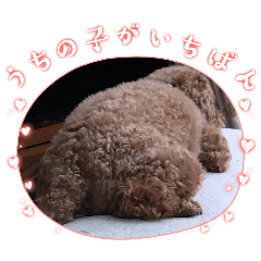 komugi_20251223184729