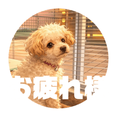 tsuyoshi_2025122321080321