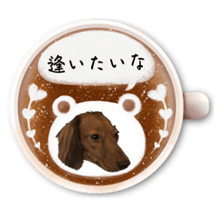 saorin_20251223205012