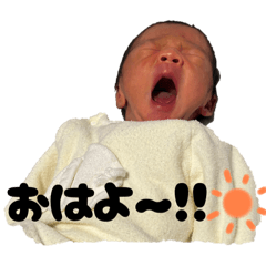Koto_20251221214313