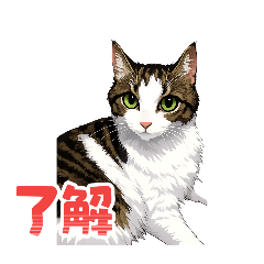 catForest6_20251223123945