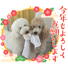 kyojikamata_20251223193125