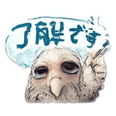 Wet owl_20251223195747