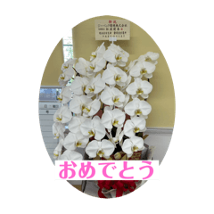 tateki_20251223211210